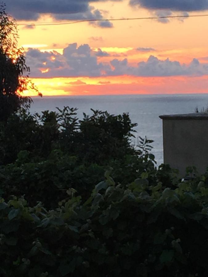 Appartamento Casa Vacanza Saverio Tropea Exteriör bild